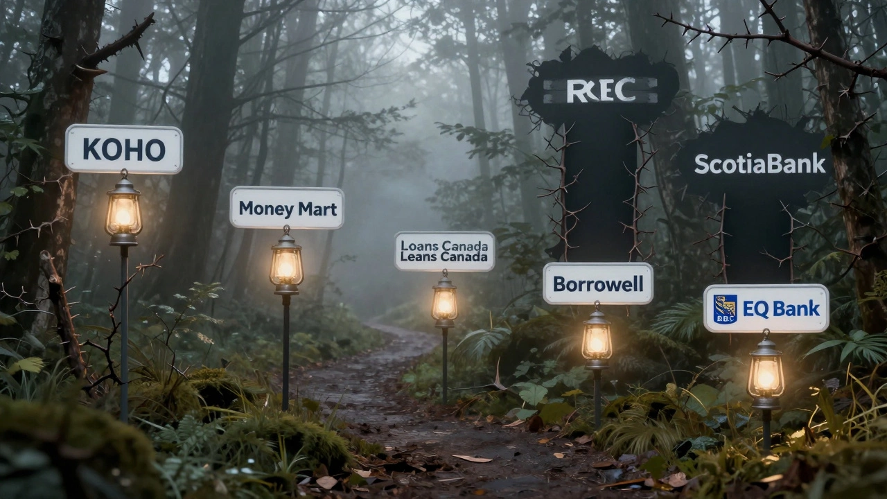 Forest path with five labeled trail markers leading to glowing lanterns, symbolizing easy loan options.